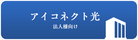 アイコネクト光 法人様向け